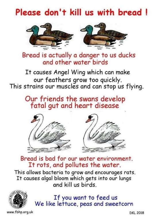 is-bread-bad-for-you-nutrition-facts-and-more